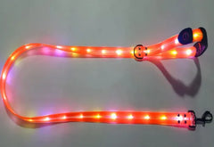 LED Light Glowing Safety Pet Leash