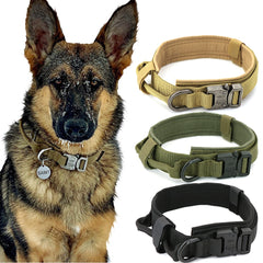 Heavy-Duty Tactical Dog Collar