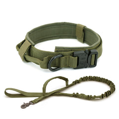 Heavy-Duty Tactical Dog Collar