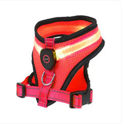 GlowPaws LED Light Breathable Mesh Rechargeable Dog Harness