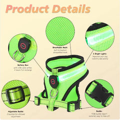 GlowPaws LED Light Breathable Mesh Rechargeable Dog Harness