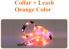 LED Light Glowing Safety Pet Leash