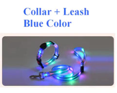 LED Light Glowing Safety Pet Leash