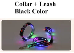 LED Light Glowing Safety Pet Leash