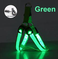 LED Light Glowing Adjustable Dog Safety Harness