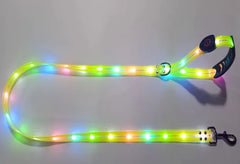 LED Light Glowing Safety Pet Leash