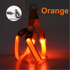 LED Light Glowing Adjustable Dog Safety Harness