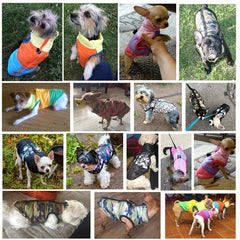 Warm and Cozy Pet Clothing For Dogs