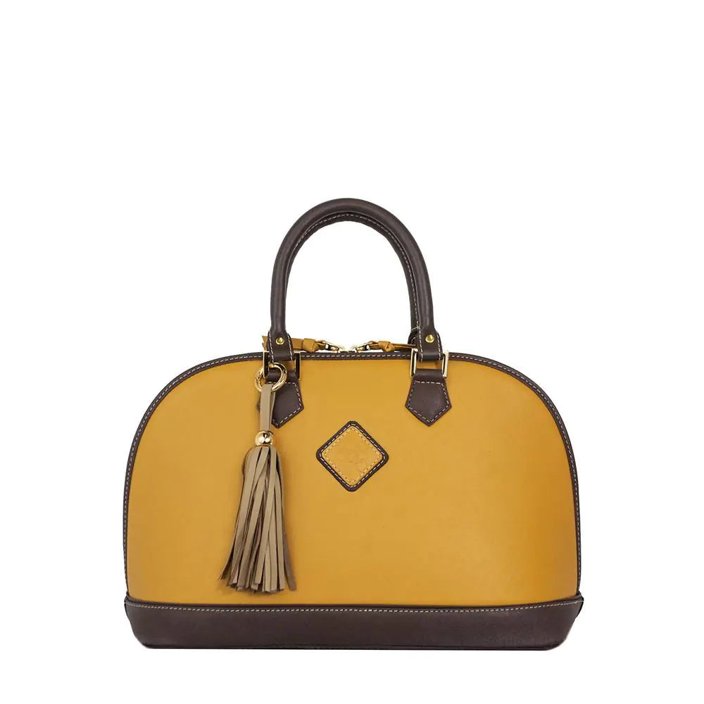 Antonia Leather Handbag in Goldenrod and Chocolate Color