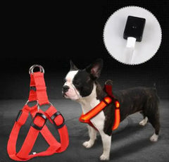 LED Light Glowing Adjustable Dog Safety Harness